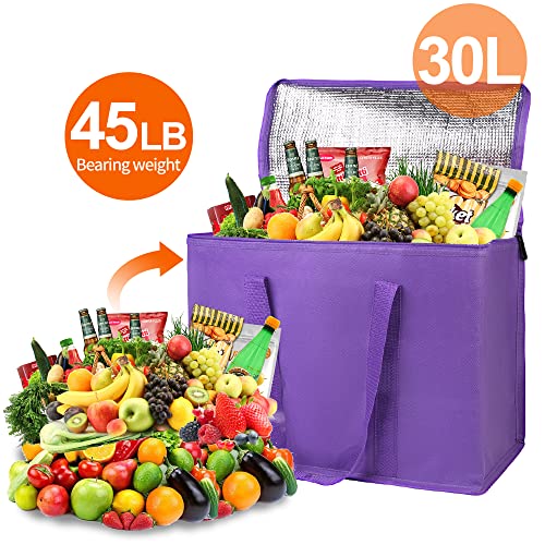 Insulated Food Delivery Bag Hot Cold Meal Carrier F1699