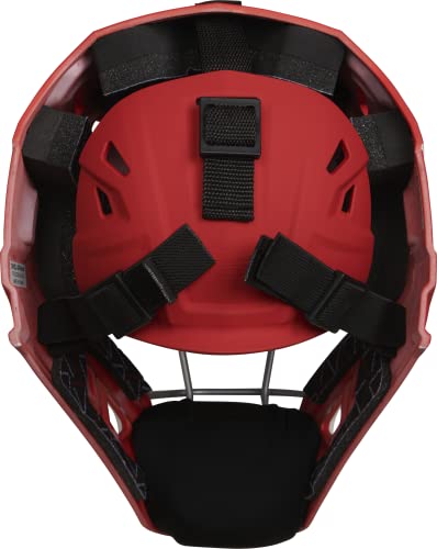 Catcher's Set for Baseball C287982
