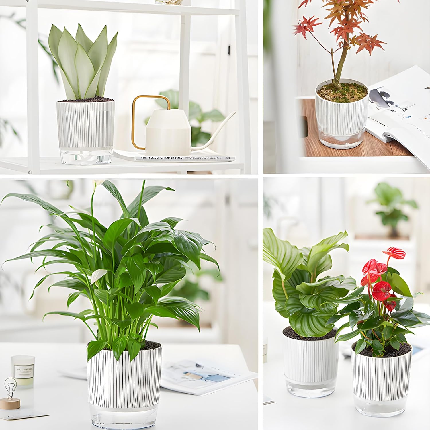 Self-Watering Pots for Indoor Plants with Wick Rope M4241