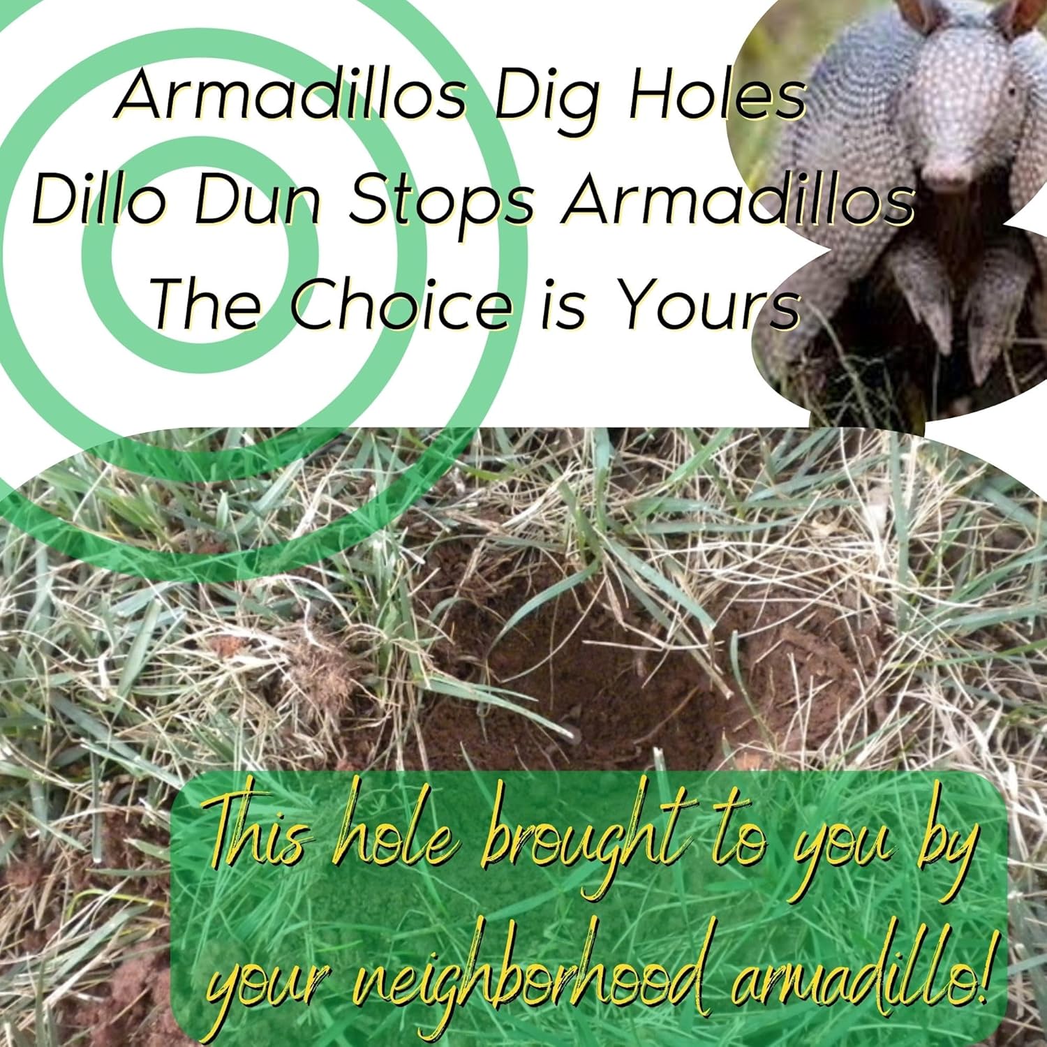 Armadillo Repellent Spray for Yard, Gardens and Flower Beds D162