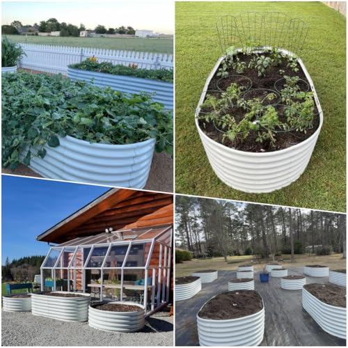 Galvanized Raised Garden Bed Oval Metal Planter Box for Vegetables Flowers U63502