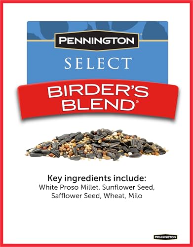 Wild Bird Seed for Outside Feeders, High-Protein, No-Hull, No-Waste, 15-lb Bag Q46704