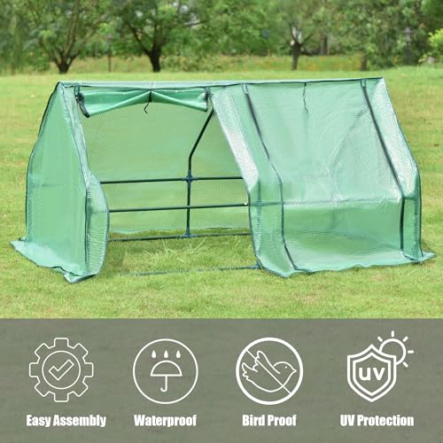 6 ft. x 3 ft. Mini Greenhouse with 2 Zipper Doors, UV Protected Z6284