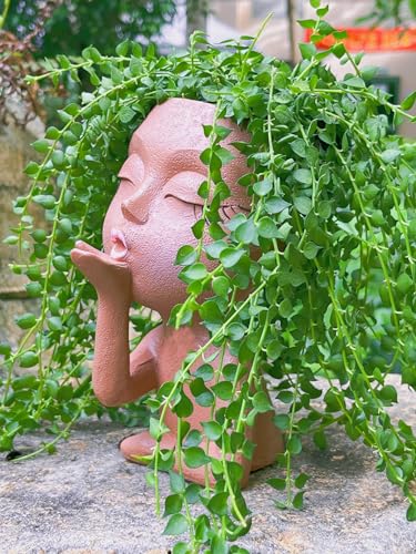 Face Planter Pot for Plants Succulent Cactus Indoor Outdoor Q55365