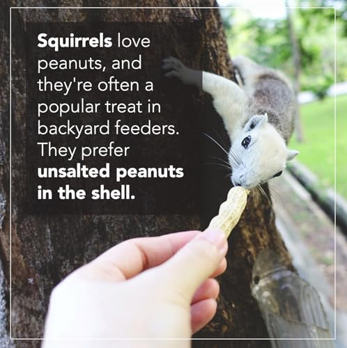 Raw Peanuts for Wildlife, 12 LB Pail X368