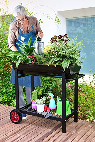 Metal Raised Planter Box on Wheels with Gardening Kit, Mobile Garden Bed Cart with Legs W630963