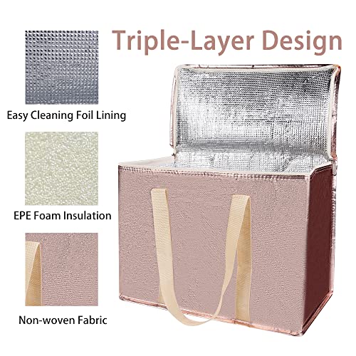 Insulated Food Delivery Bag Hot Cold Meal Carrier F1699