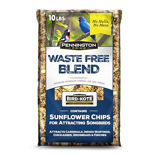 Wild Bird Seed for Outside Feeders, High-Protein, No-Hull, No-Waste, 15-lb Bag Q46704