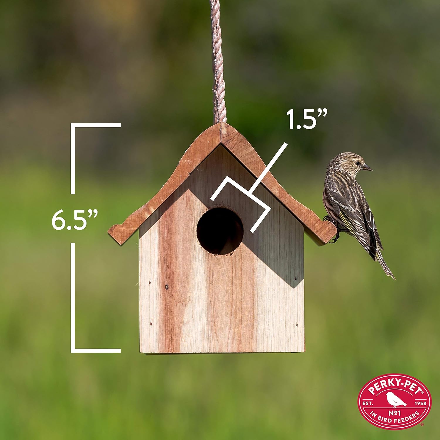 Wren Birdhouse U669018