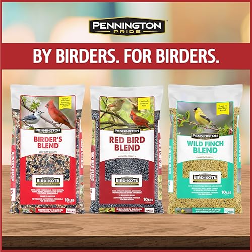 Wild Bird Seed for Outside Feeders, High-Protein, No-Hull, No-Waste, 15-lb Bag Q46704