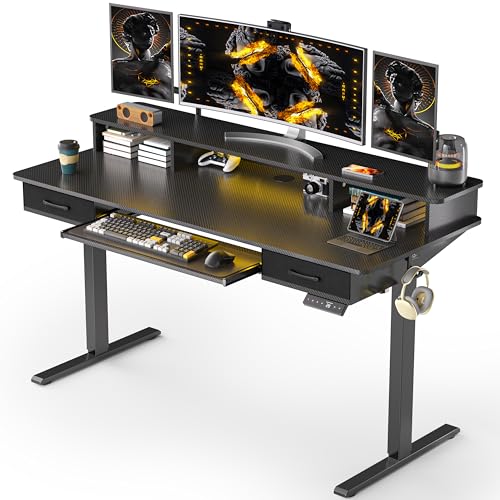 Electric Standing Desk with 2 Drawers, Height Adjustable for Home Office W495