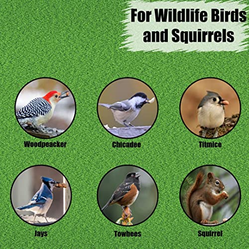 Wildlife Shelled Peanuts, 10 lbs for Birds and Squirrels C82678
