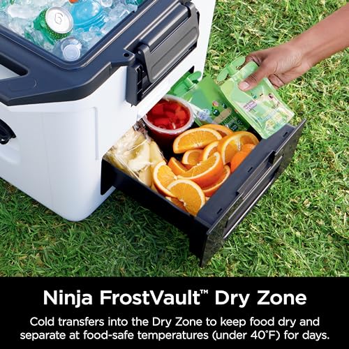 50qt Hard Cooler with Dry Storage Drawer, Slate Gray Z920