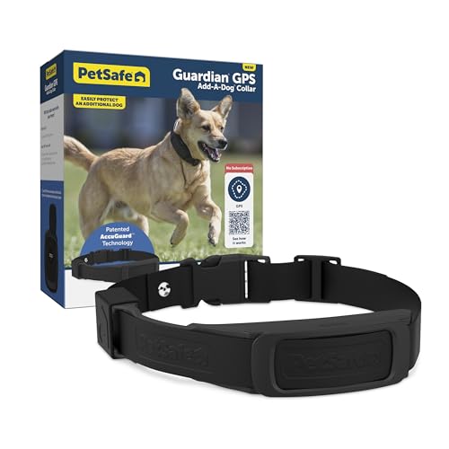 GPS Dog Fence for Yards 3/4 Acres or Larger with Wireless Collar P3787