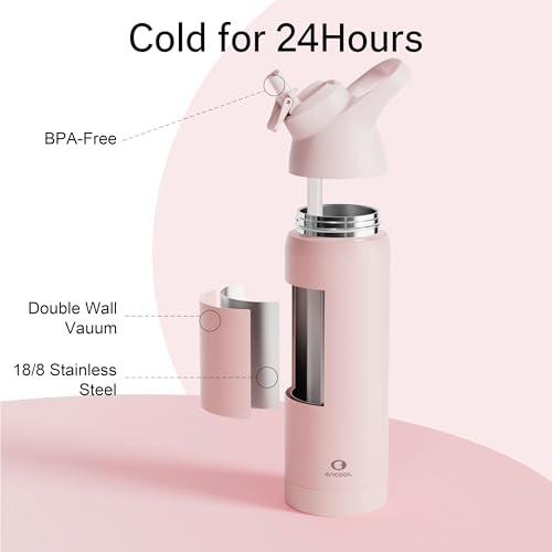 Insulated Water Bottle with Straw, 24 oz, Leakproof, BPA-Free B201134