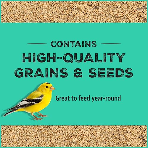 Wild Bird Seed for Outside Feeders, High-Protein, No-Hull, No-Waste, 15-lb Bag Q46704