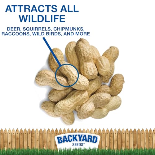 Raw Peanuts in Shell for Wildlife, 25 Pounds T4513
