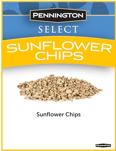 Wild Bird Seed for Outside Feeders, High-Protein, No-Hull, No-Waste, 15-lb Bag Q46704