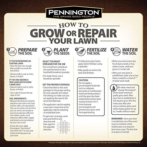 Annual Ryegrass for Overseeding Warm Season Lawns, 10 lb C2178