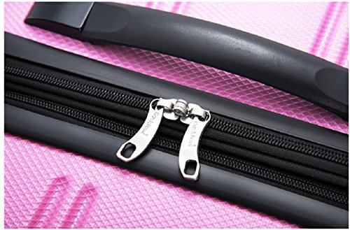Hardside Expandable Luggage with Spinner Wheels, 2 Piece Set S21529