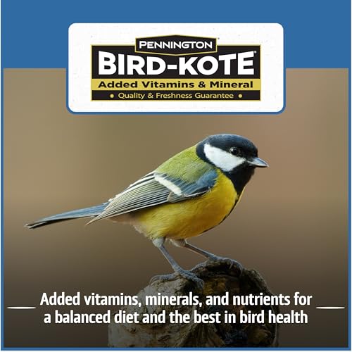 Wild Bird Seed for Outside Feeders, High-Protein, No-Hull, No-Waste, 15-lb Bag Q46704