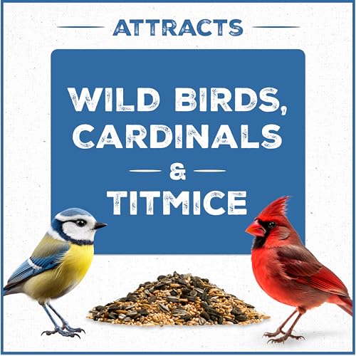 Wild Bird Seed for Outside Feeders, High-Protein, No-Hull, No-Waste, 15-lb Bag Q46704