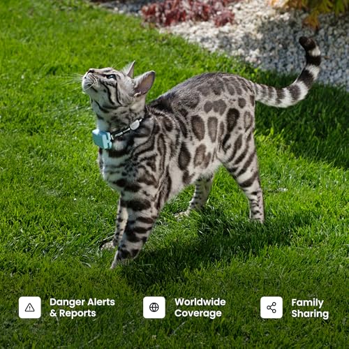Cat GPS Tracker with Real-Time Location and Activity Monitoring T30192
