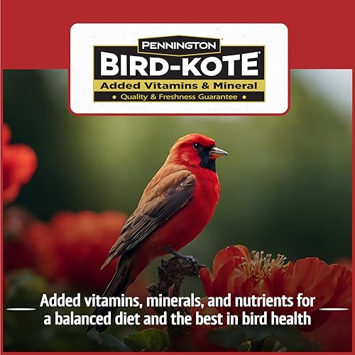 Wild Bird Seed for Outside Feeders, High-Protein, No-Hull, No-Waste, 15-lb Bag Q46704