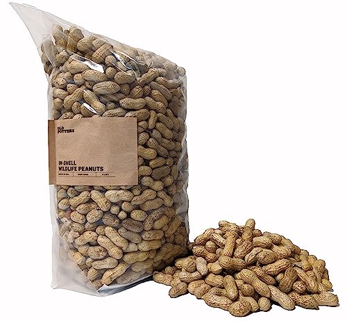 Wildlife Shelled Peanuts, 10 lbs for Birds and Squirrels C82678