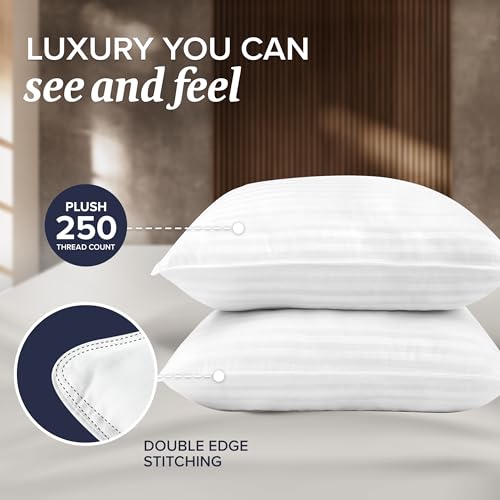 Bed Pillows Standard/Queen Size Set of 2 - Down Alternative Pillow for Sleeping F6851