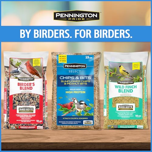 Wild Bird Seed for Outside Feeders, High-Protein, No-Hull, No-Waste, 15-lb Bag Q46704