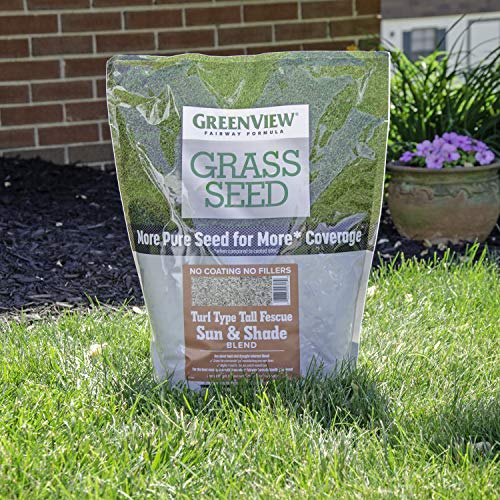 Tall Fescue Grass Seed Sun & Shade Blend H9638