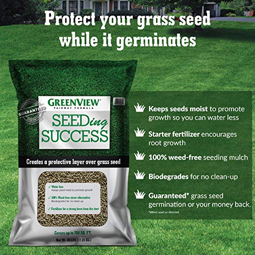 Tall Fescue Grass Seed Sun & Shade Blend H9638