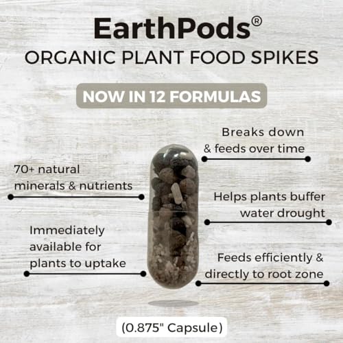 Succulent Plant Food Spikes for Indoor Potted Plants, 100 Capsules T961312