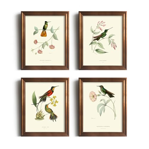 Vintage Bird Wall Art - Hummingbird Pictures for Wall - France Country Botanical Flower Poster - Beige Wall Decor for Bedroom Bathroom Cottagecore - Lovebird Sparrow Audubon Print - Green Tree Floral