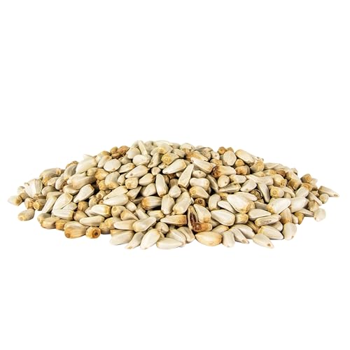 Wild Bird Seed for Outside Feeders, High-Protein, No-Hull, No-Waste, 15-lb Bag Q46704