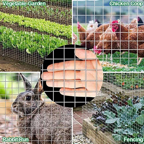 Galvanized Chicken Wire Mesh for Gardening and Poultry Fence J546599