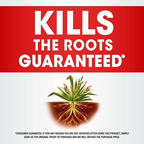 Weed and Grass Killer Concentrate, 64 oz. R468980