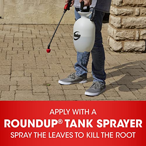 Weed and Grass Killer Concentrate, 64 oz. R468980