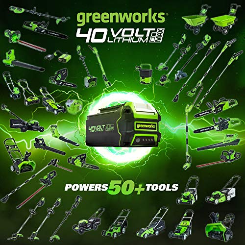 Cordless Hedge Trimmer with Battery and Charger S492628