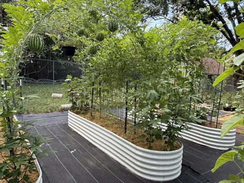 Galvanized Raised Garden Bed Oval Metal Planter Box for Vegetables Flowers U63502
