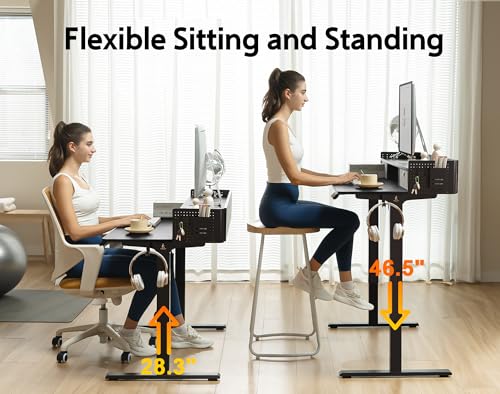 Electric Standing Desk with 2 Drawers, Height Adjustable for Home Office W495