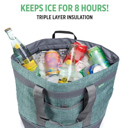 Insulated Cooler Bag with Thermal Lining, Collapsible for Grocery, Travel, Beach, and Picnic W52787