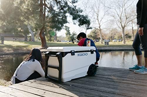 Insulated Portable Hard Side Cooler Ice Chest for Fishing Camping Boating A767409