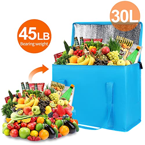 Insulated Food Delivery Bag Hot Cold Meal Carrier F1699
