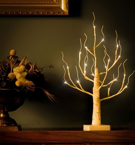 Lighted Birch Tree 4ft with 48 LED, Timer, Warm & Cool White F9132