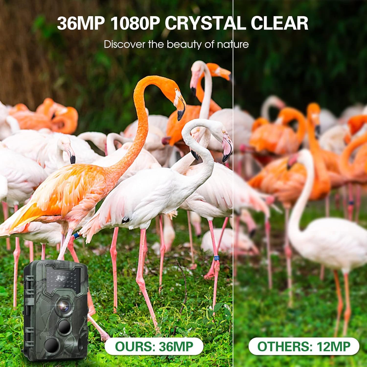 Trail and Game Camera with Night Vision and Motion Activation N1487