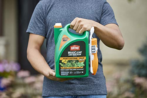 Weed Killer for Northern Lawns, 1.33 gal. P19303