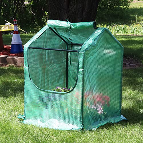 Outdoor Mini Greenhouse Tent with Steel Frame I875789