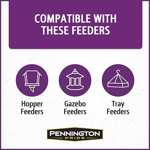 Wild Bird Seed for Outside Feeders, High-Protein, No-Hull, No-Waste, 15-lb Bag Q46704